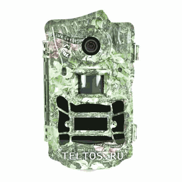 Фотоловушка Teltos Bg 962: доставка, оплата при получении, гарантия